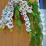 Apartman Pascasio - Charming At The Doors Of Udine