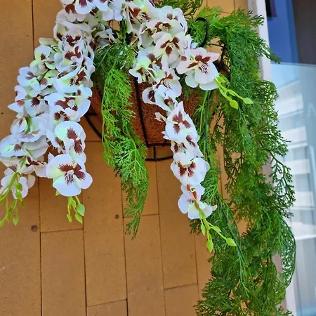 Appartement Pascasio - Charming At The Doors Of Udine